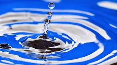 جوهر نظام غذائي الشراب لفقدان الوزن